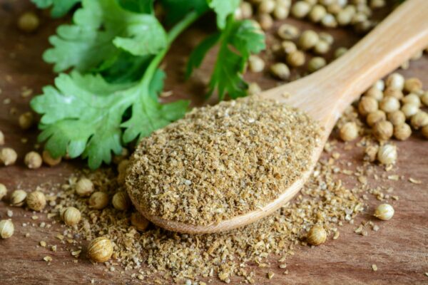 Coriander