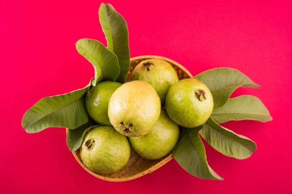 Guava - Image 2