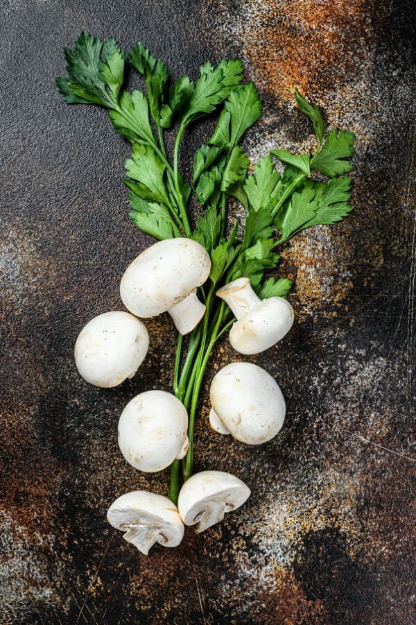 White Mushroom - Image 2