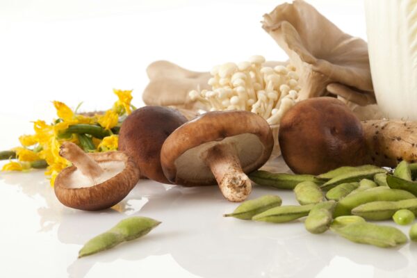 Brown Mushroom - Image 2