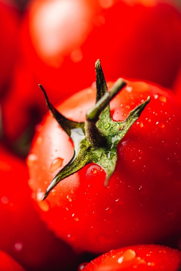 Tomato - Image 2