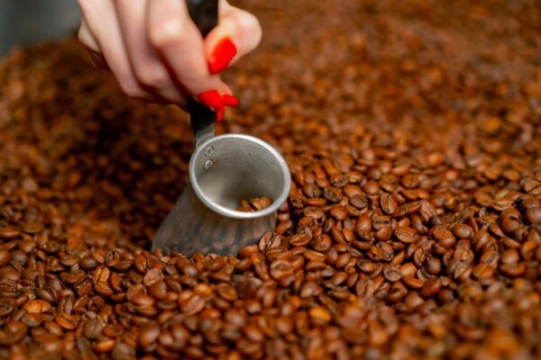 French Roast