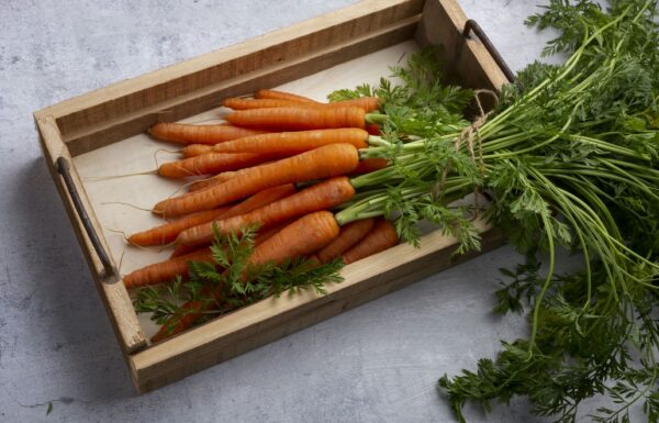 Carrot