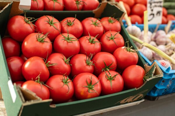 Tomato
