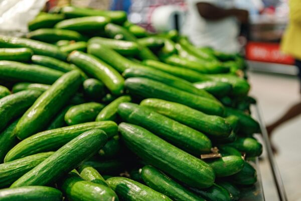 Cucumber